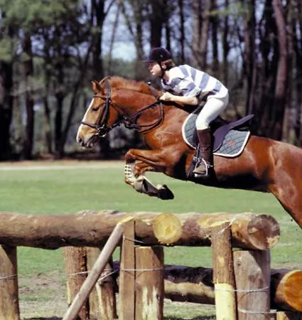 La Pierre N°6 Grand Avec Clim Апартаменты *