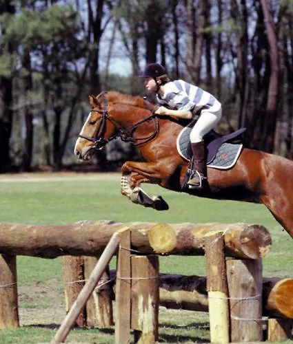 La Pierre N°6 Grand Avec Clim Appartamento *